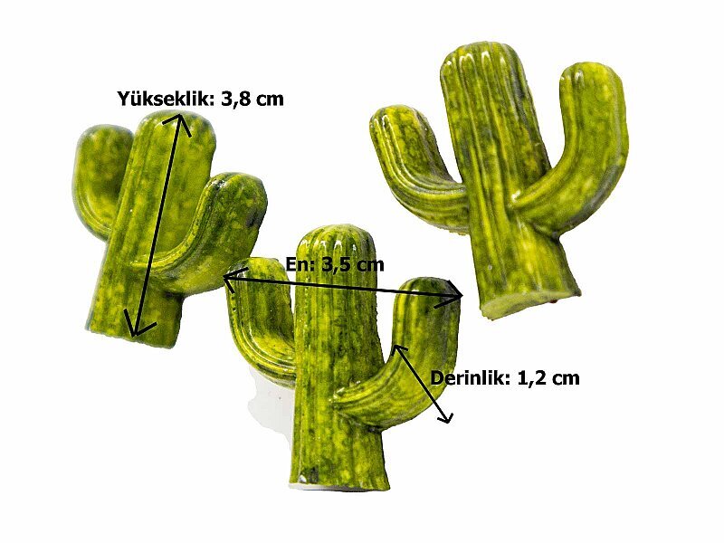 Kaktüs Silikon Kalıbı PANO-72 - 2