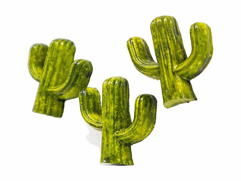 Kaktüs Silikon Kalıbı PANO-72 - 3