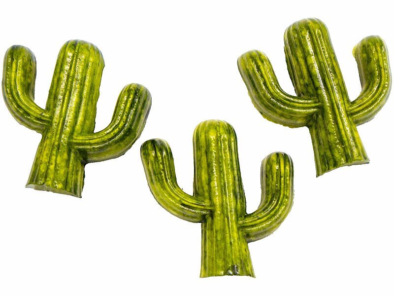 Kaktüs Silikon Kalıbı PANO-72 - 4