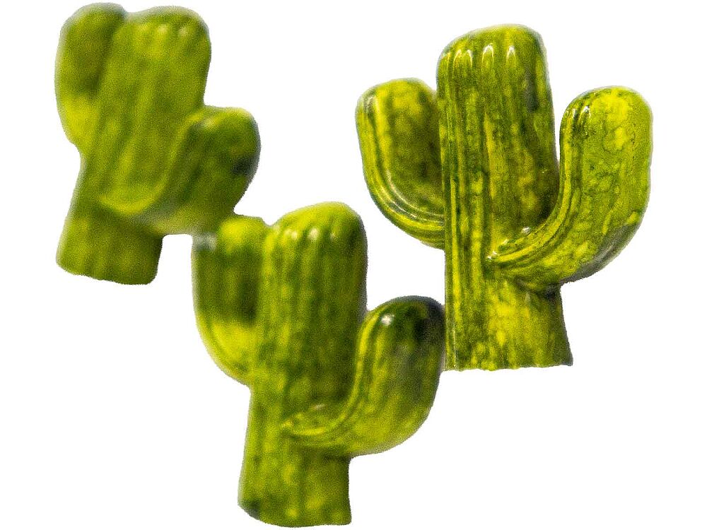 Kaktüs Silikon Kalıbı PANO-72 - 5