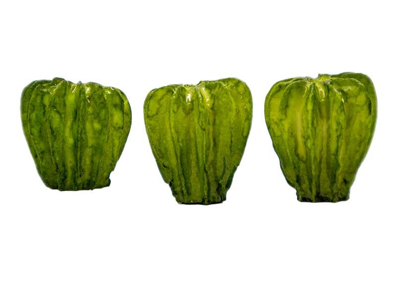 3'lü Mini Kaktüs Silikon Mum Kalıbı M-199 - 2