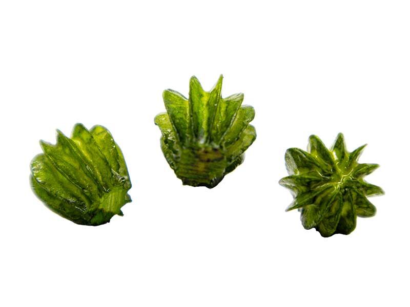 3'lü Mini Kaktüs Silikon Mum Kalıbı M-199 - 3