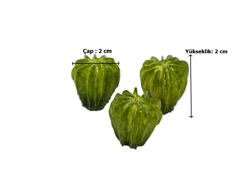 3'lü Mini Kaktüs Silikon Mum Kalıbı M-199 - 4