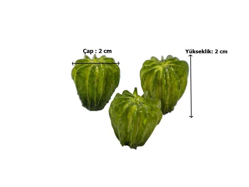 3'lü Mini Kaktüs Silikon Mum Kalıbı M-199 - 4