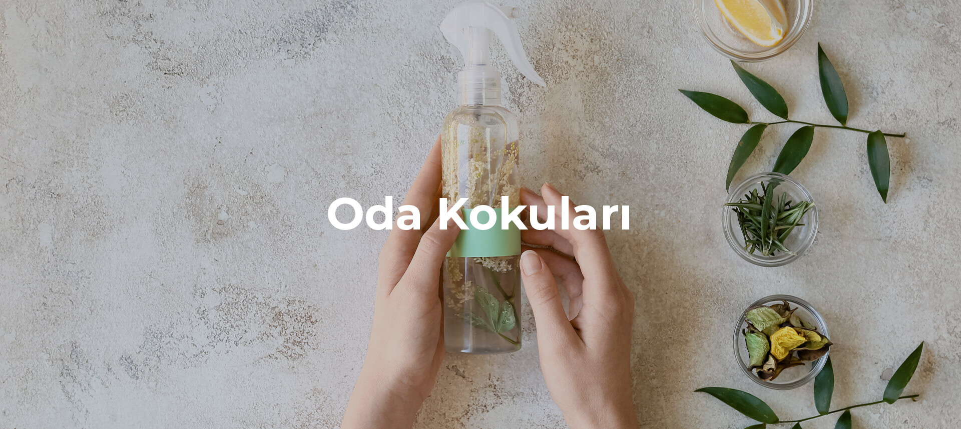 Oda Kokuları
