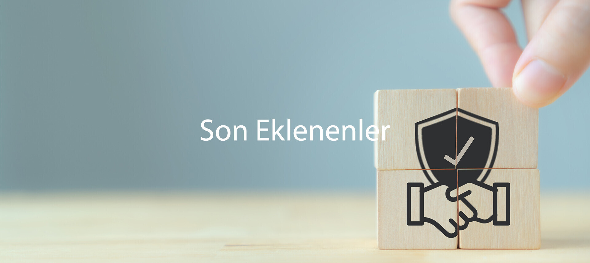 SON EKLENENLER