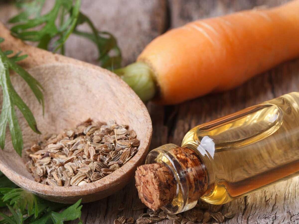 Havuç Yağının Cilt ve Saçtaki Faydaları