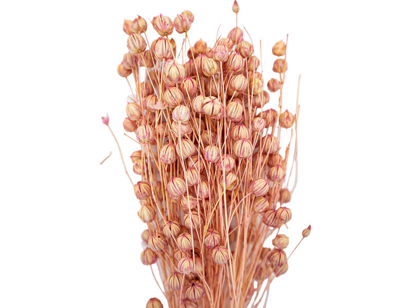 Açık Pembe Keten Otu Kuru Çiçek Demeti 10 GR - 2