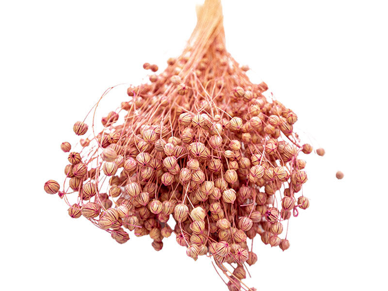 Açık Pembe Keten Otu Kuru Çiçek Demeti - 3