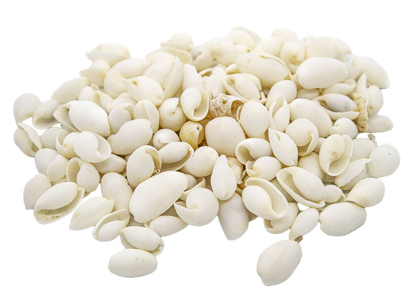 Beyaz Deniz Kabuğu 1 KG - Kimyacınız