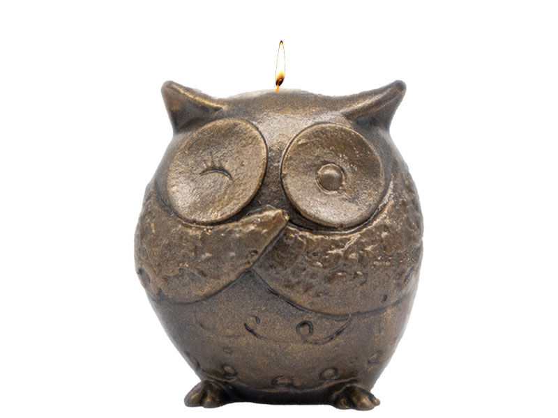 Bilmiyorum Baykuş Silikon Mum Kalıbı M-105 - 7