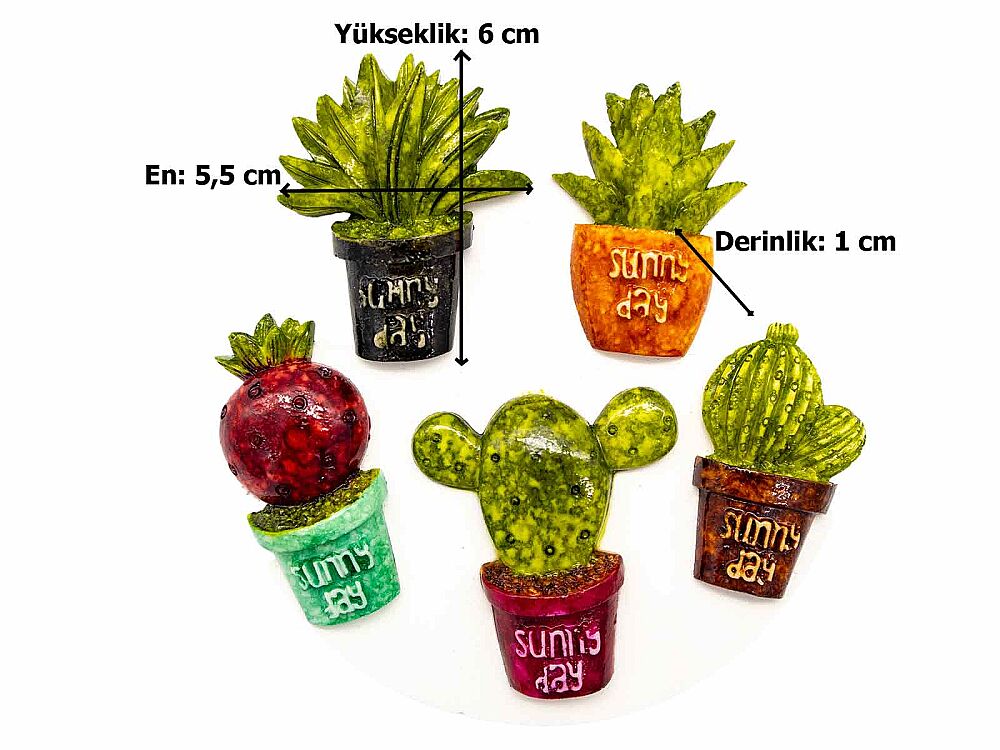 Çoklu Kaktüs Büyük Obje - 2