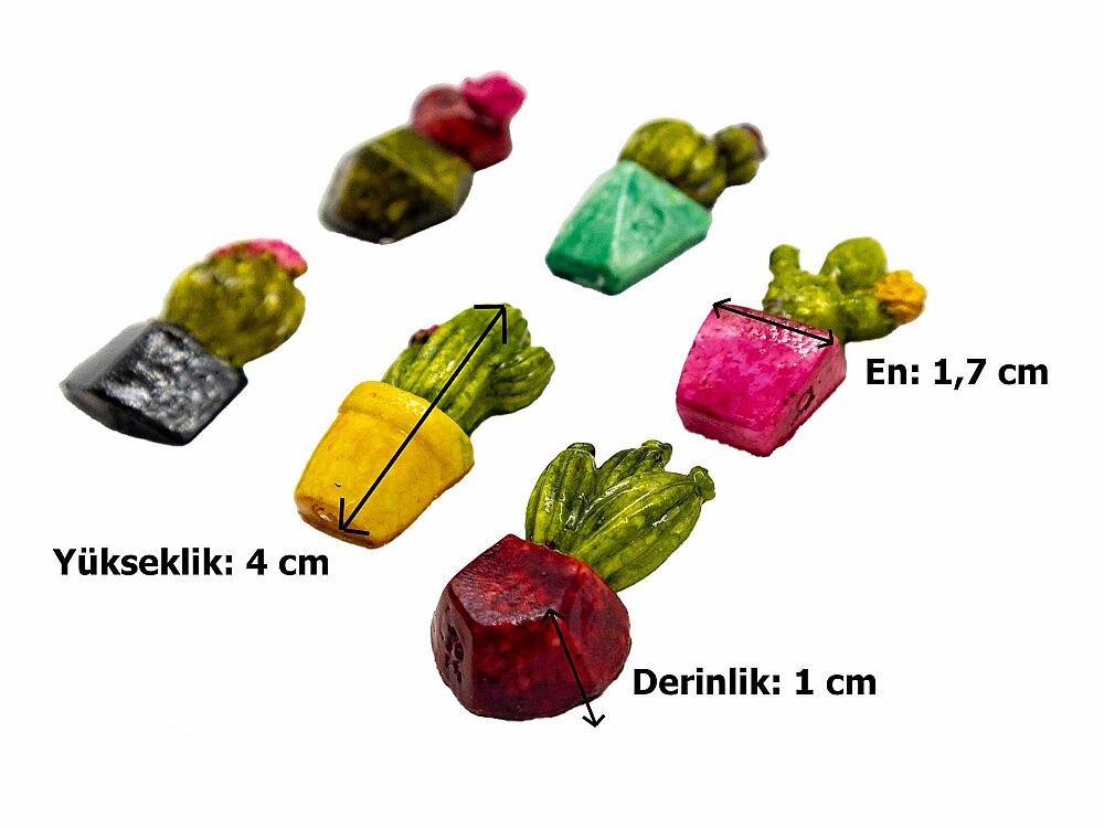 Çoklu Kaktüs Mini Obje - 2