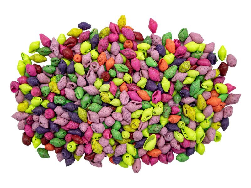 Deniz Kabuğu Karışık Renk 100 GR - Diğer