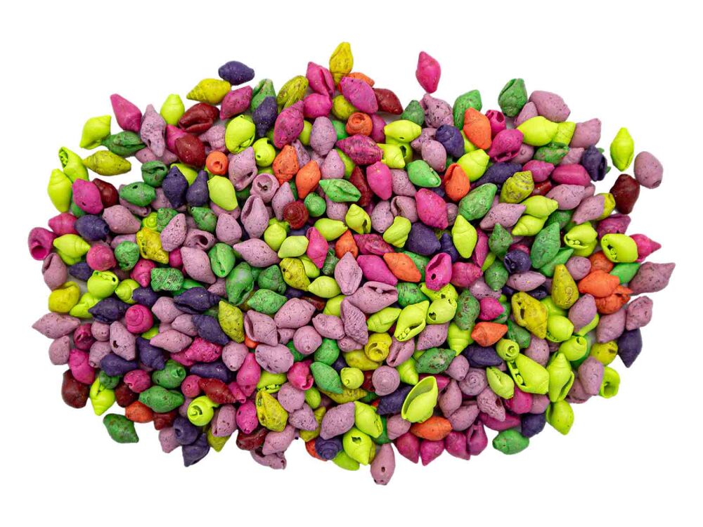 Deniz Kabuğu Karışık Renk 100 GR - 1
