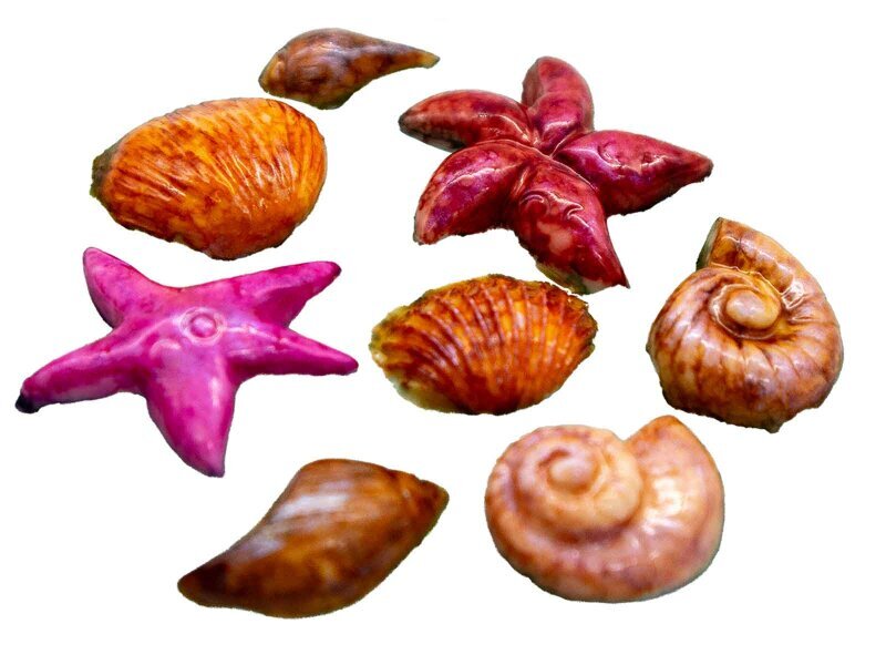 Deniz Objeleri 8'li Silikon Mum Kalıbı M-322 - 2