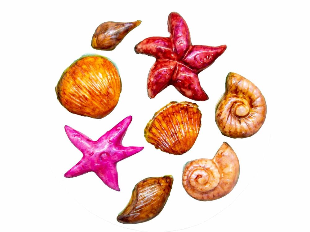 Deniz Objeleri 8'li Silikon Mum Kalıbı M-322 - 3