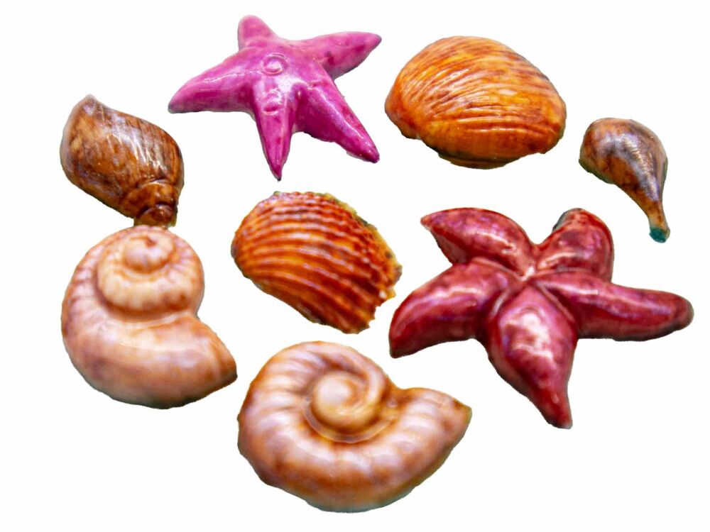 Deniz Objeleri 8'li Silikon Mum Kalıbı M-322 - 4