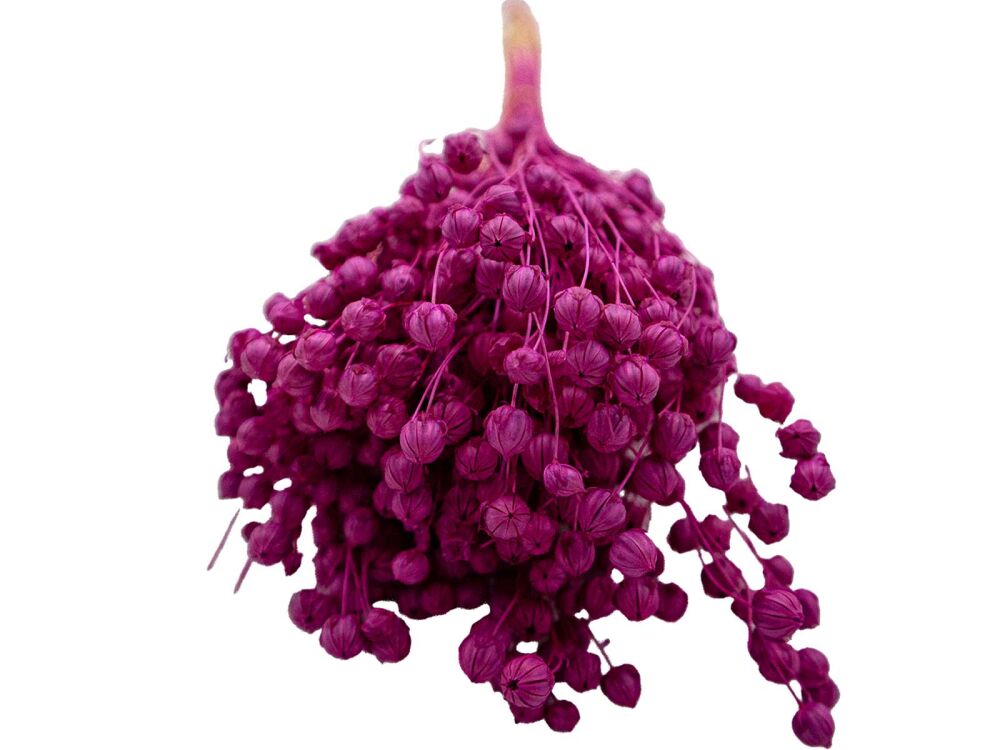 Fuşya Keten Otu Kuru Çiçek Demeti - 3