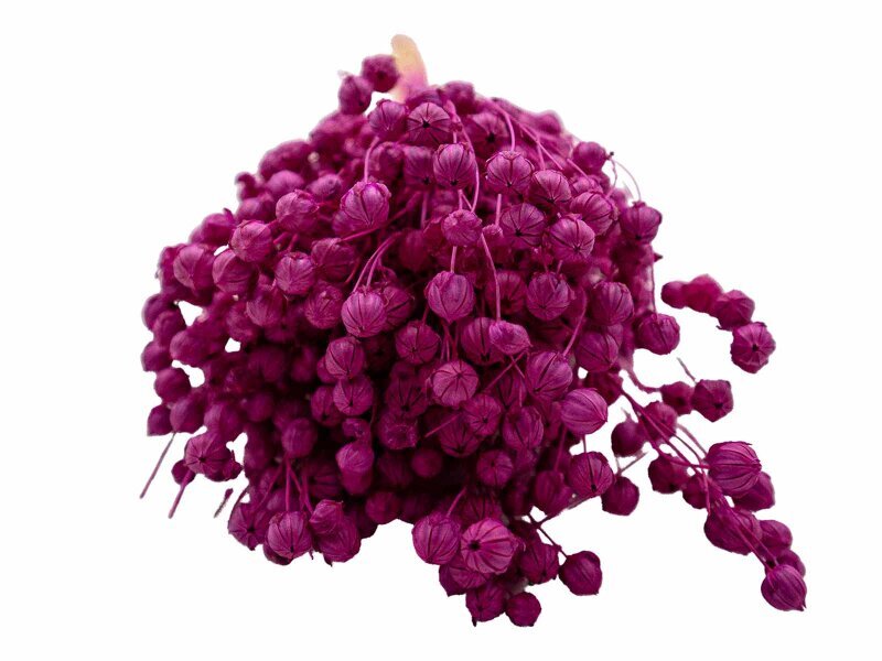 Fuşya Keten Otu Kuru Çiçek Demeti - 4