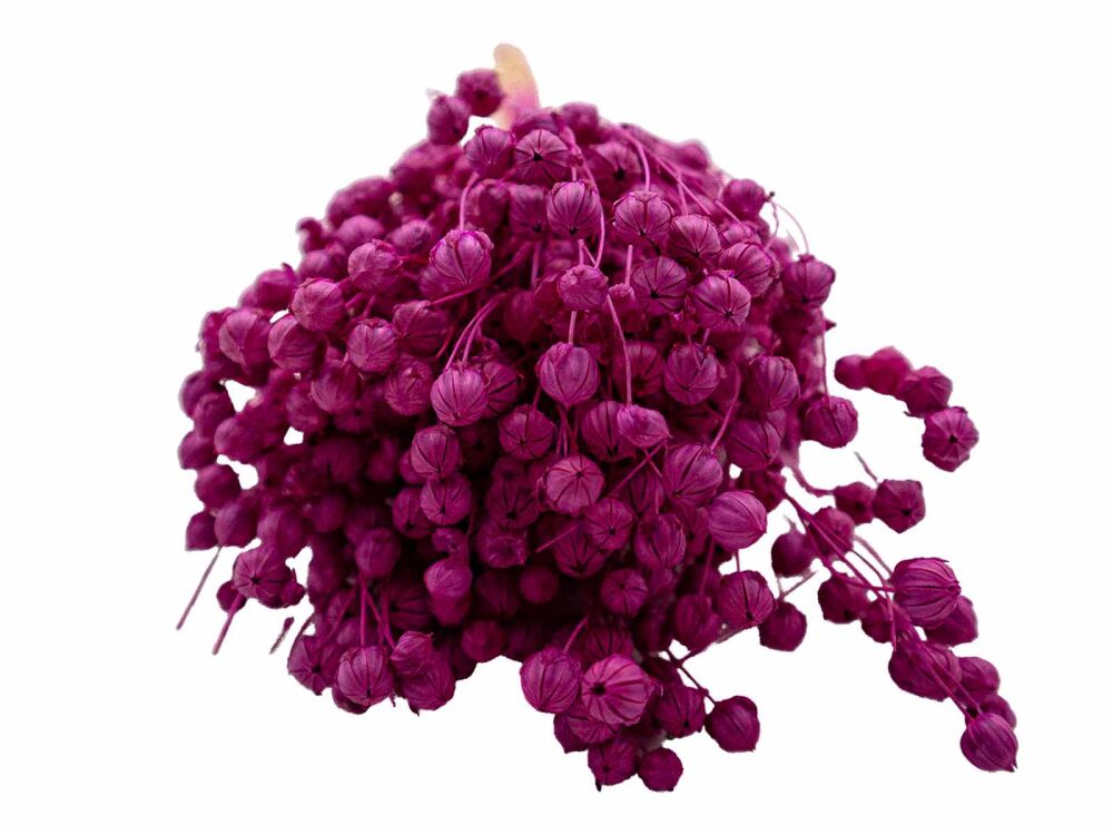 Fuşya Keten Otu Kuru Çiçek Demeti - 4