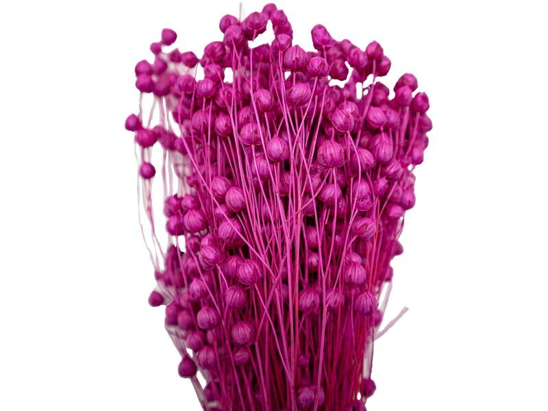 Fuşya Keten Otu Kuru Çiçek Demeti - 2