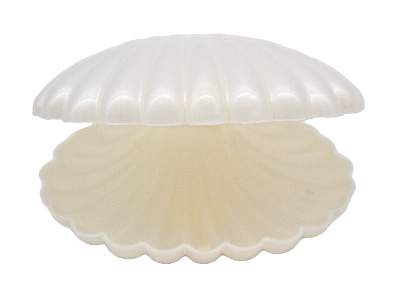 İstiridye Mika Kutu 25 Adet - 2