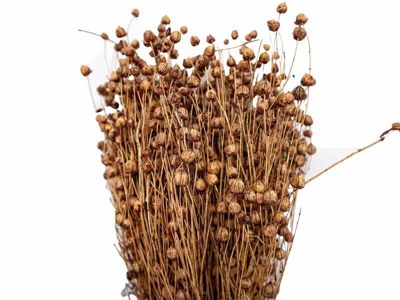 Kahverengi Keten Otu Kuru Çiçek Demeti 10 GR - Kimyacınız