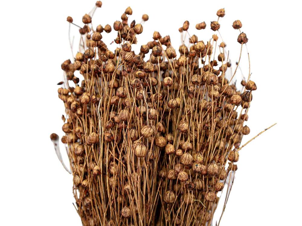 Kahverengi Keten Otu Kuru Çiçek Demeti - 4