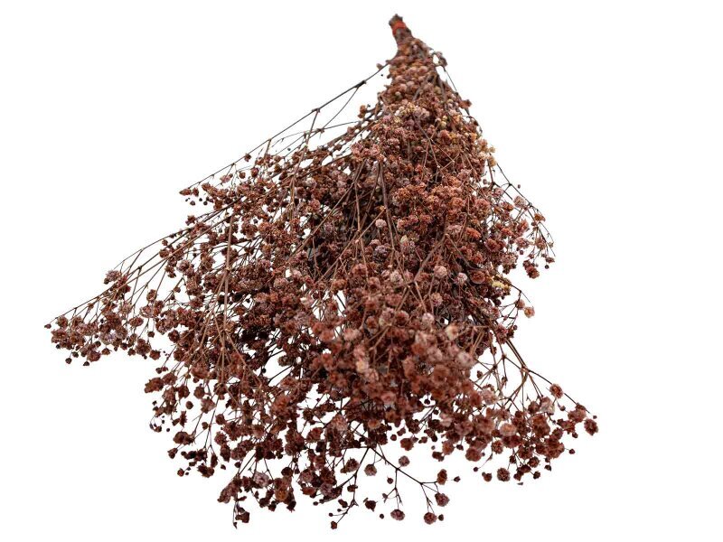 Kahverengi Şoklanmış Cipso - Kuru Çiçek Demet - 3