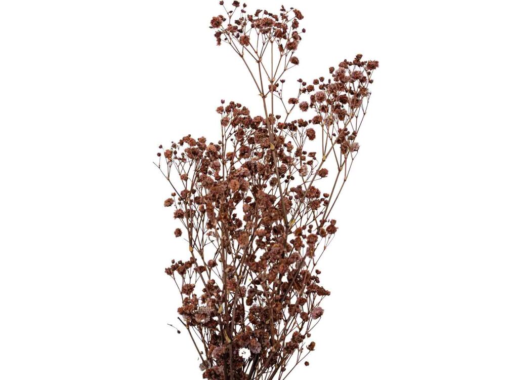 Kahverengi Şoklanmış Cipso - Kuru Çiçek Demet - 4