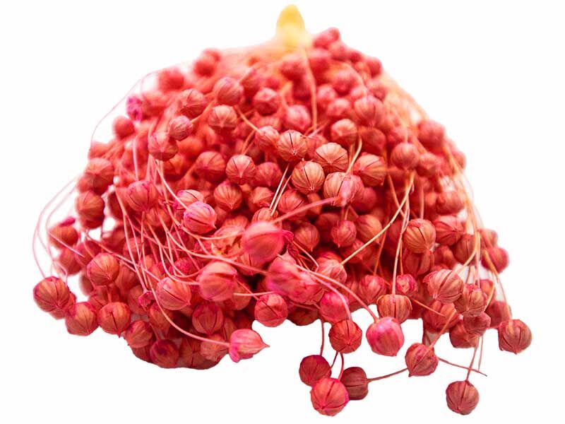 Kırmızı Keten Otu Kuru Çiçek Demeti 10 GR - 3