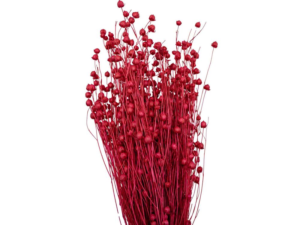 Kırmızı Keten Otu Kuru Çiçek Demeti 10 GR - 2