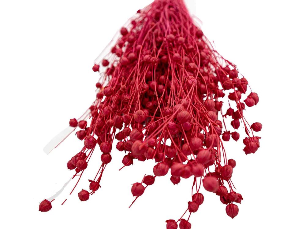 Kırmızı Keten Otu Kuru Çiçek Demeti 10 GR - 3