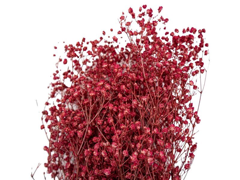 Kırmızı Şoklanmış Cipso - Kuru Çiçek Demeti - 2