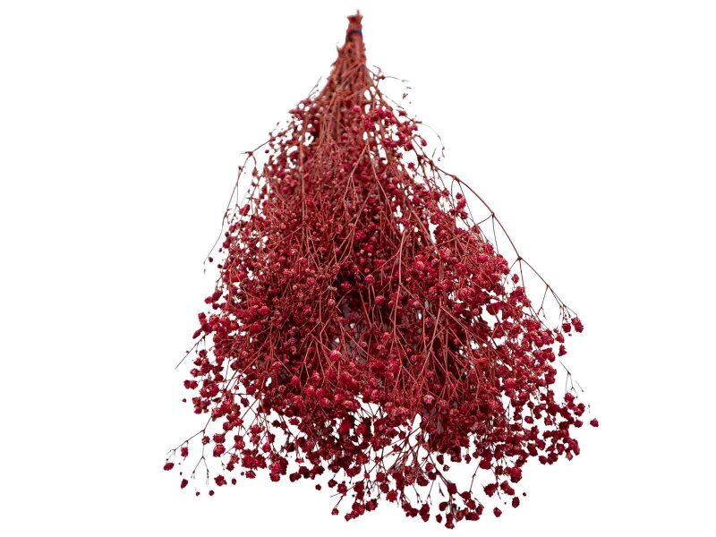 Kırmızı Şoklanmış Cipso - Kuru Çiçek Demeti - 3