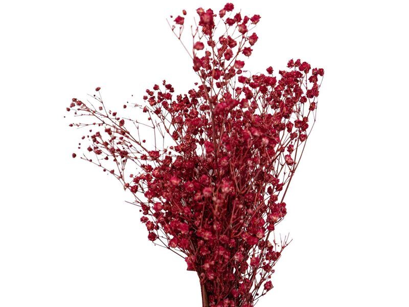 Kırmızı Şoklanmış Cipso - Kuru Çiçek Demeti - 4