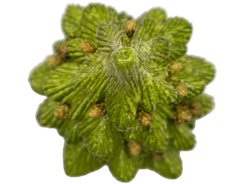 Kozalaklı Çam Ağacı Silikon Mum Kalıbı M-80 - 12