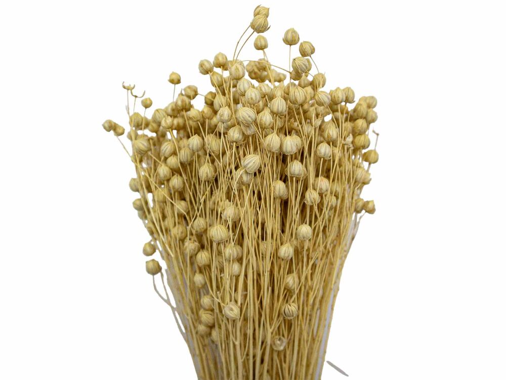 Krem Rengi Keten Otu Kuru Çiçek Demeti - 2