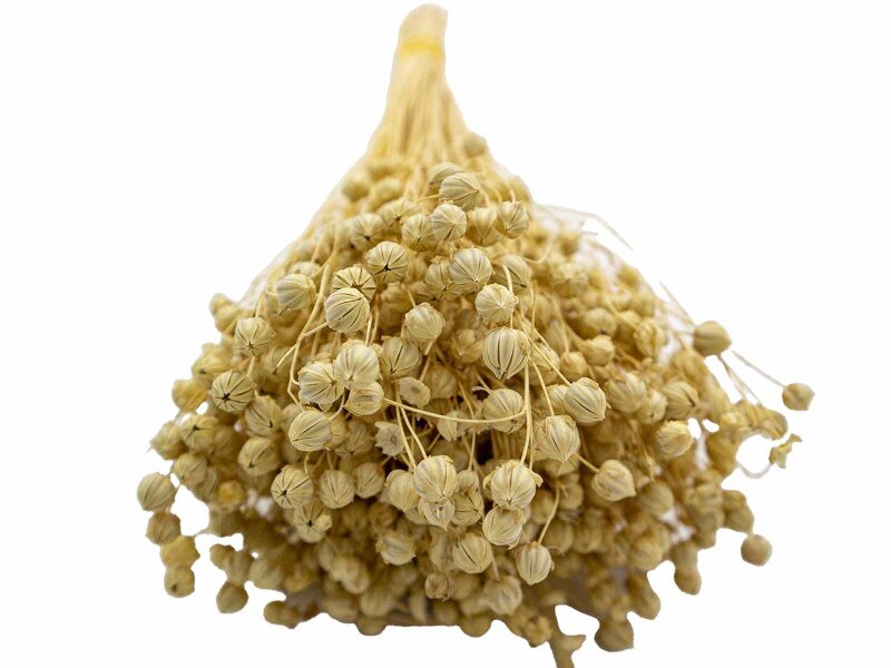 Krem Rengi Keten Otu Kuru Çiçek Demeti - 3