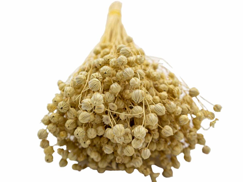 Krem Rengi Keten Otu Kuru Çiçek Demeti - 3