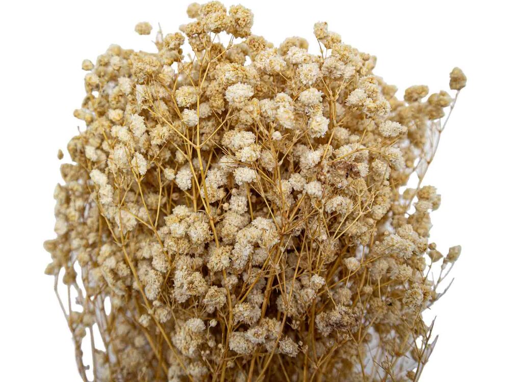 Krem Rengi Şoklanmış Cipso - Kuru Çiçek Demeti - 2