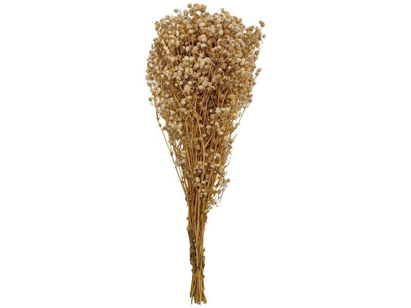 Krem Rengi Şoklanmış Cipso - Kuru Çiçek Demeti - Diğer