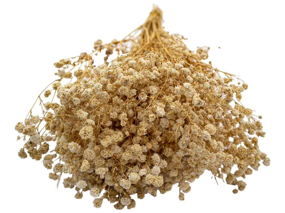 Krem Rengi Şoklanmış Cipso - Kuru Çiçek Demeti - 4