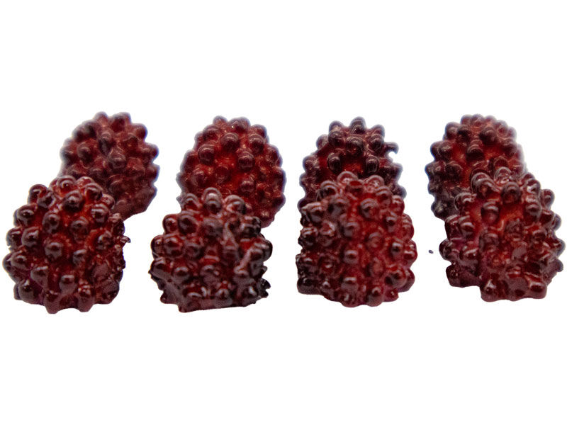 Küçük Böğürtlen Silikon Mum Kalıbı M-69 - 3