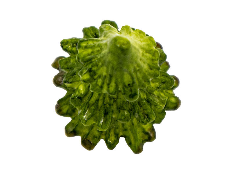 Küçük Çam Ağacı Silikon Mum Kalıbı M-250 - 6