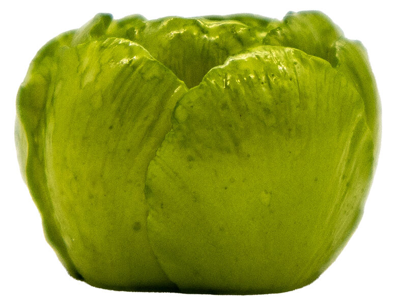 Küçük Şakayık Gül Silikon Mum Kalıbı M-252 - 4