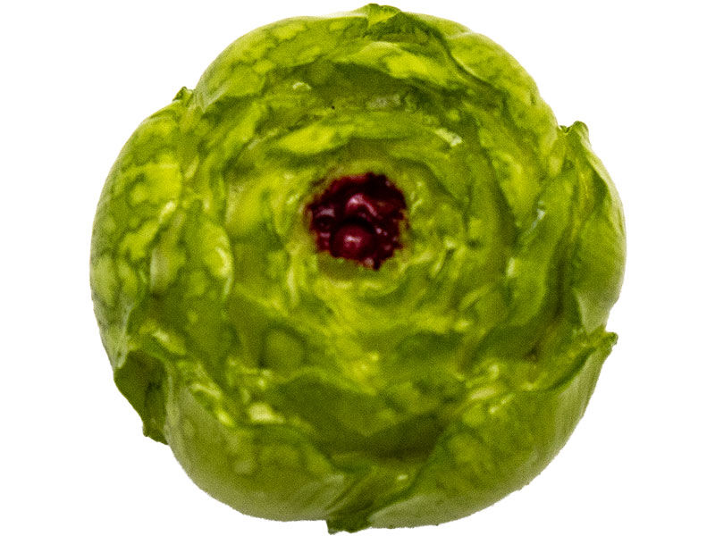 Küçük Şakayık Gül Silikon Mum Kalıbı M-252 - 6