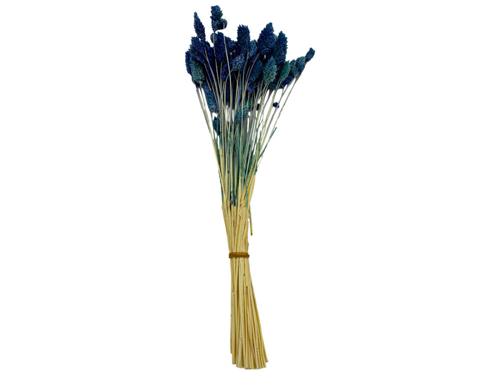 Mavi Kuş Otu Kuru Çiçek Demeti - 1