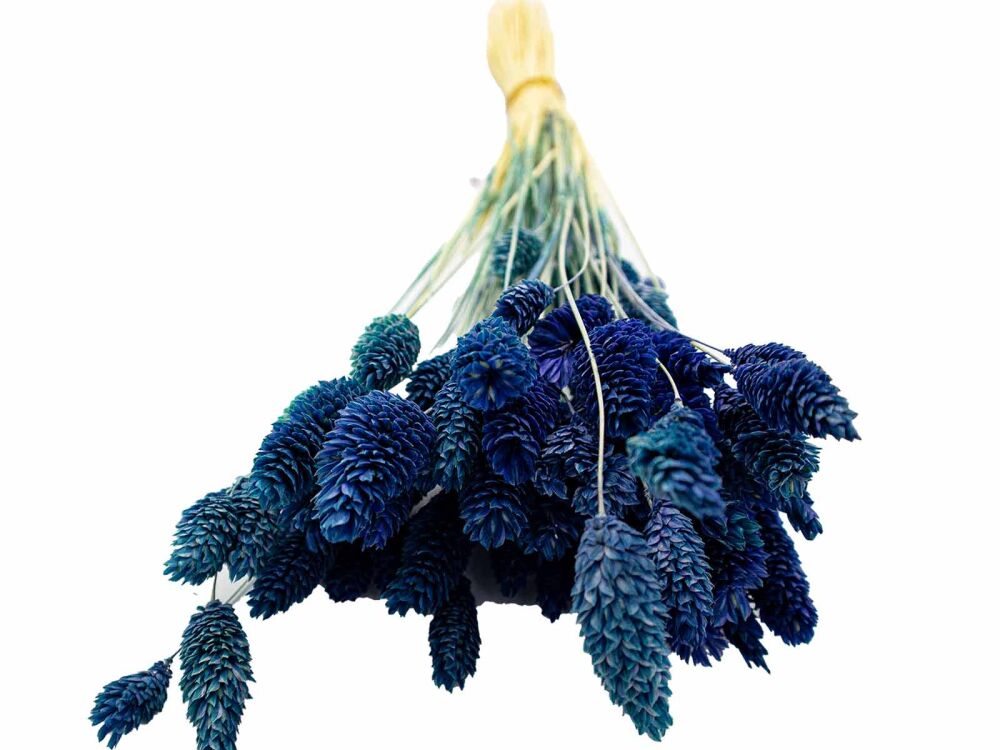 Mavi Kuş Otu Kuru Çiçek Demeti - 3